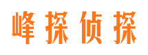 赫山侦探